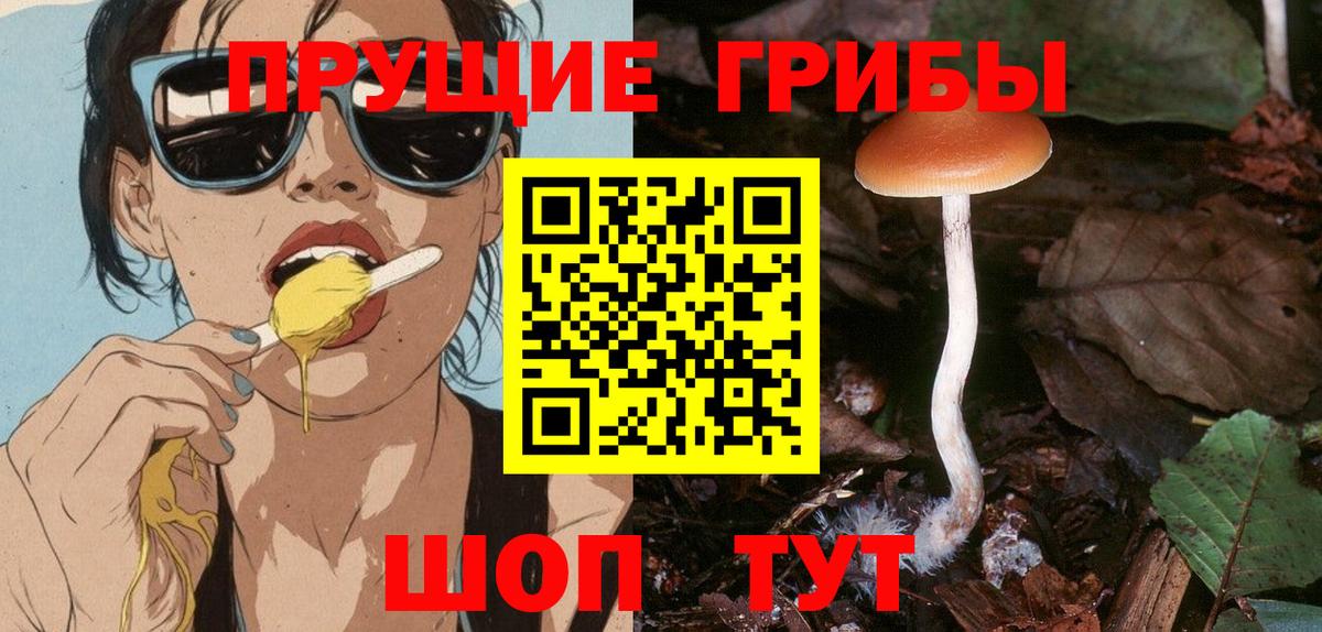 Керчь  Галлюциногенные грибы прущие грибы  Вход с VPN  Псилоцибиновые грибы мухоморы 