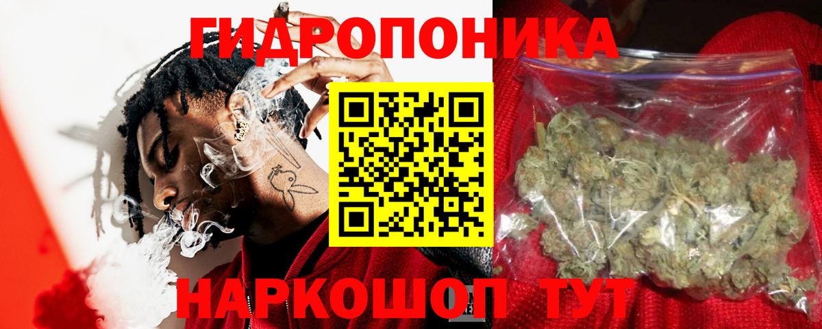 Бошки марихуана сатива Керчь